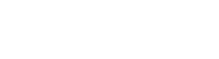 Logo da empresa MaxToy by Diplomata